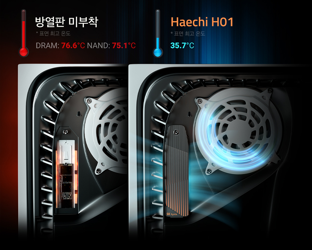 Haechi_H01_02_1000px.jpg